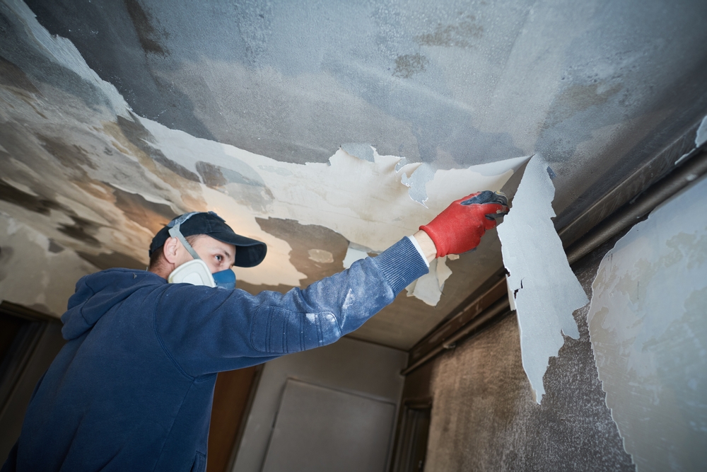 Navigating Common Home Damages: Your Guide to Restoration